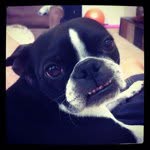 Bill Niles - @billnithepoliceguy - Instagram