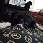 bill niles - @niles_bill - Instagram