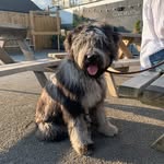 Bill Nixon - @billnixon1973 - Instagram