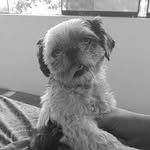 Bill - @bill_paredes - Instagram