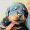 Bill Paredes - @bill.paredes4 - TikTok