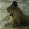 Bill Paredes Alberto - @bill.paredes.albe - TikTok