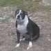 Bill Parris - Facebook