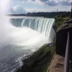 Bill Pascoe - @billpascoe5 - Instagram