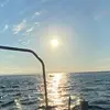 Billy Pascoe - @billypascoe - TikTok