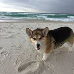 Bill Peck - @hcsdad - Instagram