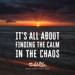 Bill Peck - @peck_bill - Instagram