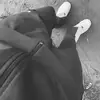 Bill Peck - @bill.peck10 - TikTok