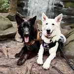 Bill Pederson - @wild_bill381 - Instagram