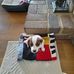 Bill Pemberton - Facebook