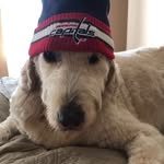 Bill Pennington - @axlpennington - Instagram
