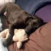 billpennington949 - @billpennington949 - TikTok