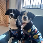 Pepe & Billi - @pepebillih - Instagram