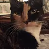 billidonna46 - @billi.donna.person - TikTok