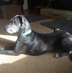 Bill Pickens - Facebook