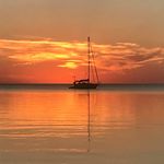 Bill Pitkin - @pitkin_bill - Instagram