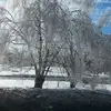 bill powers - @bill.powers2 - TikTok