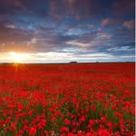 Bill Rand - @billr58 - Instagram