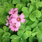 @billrao - Instagram