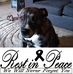 William Reams - Facebook