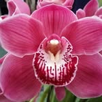 Bill Reece - @bill.reece.353 - Instagram