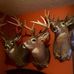 Bill Reiber - Facebook