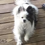Bill Rhoades - @billjrhoades - Instagram