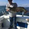 Bill Rhoades - @billrhoades4 - TikTok