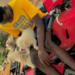 Bill Rich - @billrich99 - Instagram
