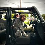 Bill Ring - @wildbilllumsautocenter - Instagram