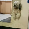 Billy Ring - @2180358769 - TikTok