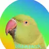 Ring neck 🦜 - @bill.ring.neck - TikTok