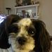 Bill Rittenberry - Facebook