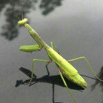 Bill Roche - @wgroche - Instagram