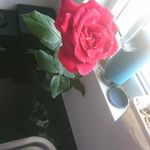 Bill Rodgers - @bill.rodgers.75286 - Instagram