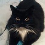 Bill Roloff - @billroloff - Instagram