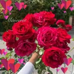 Bell Rouse - Facebook