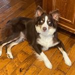 Bill Rouse - @billrouse4010 - Instagram