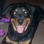 Bill Roush - @roush.bill - Instagram