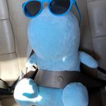 Gambill “Bill” roush - @bill_the.dino - Instagram