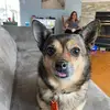 Billy Joe Routhier - @billy.joe.routhie - TikTok
