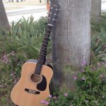 Bill Rowell - @billrowell.3758 - Instagram
