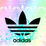 @billrowell - Instagram