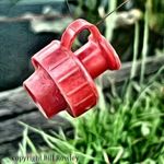 Bill Rowley - @bill.rowley.giantcarpcatcher - Instagram