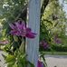 Bill Ruch - Facebook
