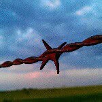 bill ryan - @billryan111 - Instagram