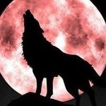Bill Samples - @bill_samples - Instagram