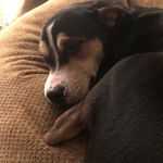 Bill Sampson - @be.ill.sampson - Instagram