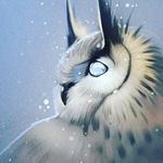 bill sanderson - @badbilly420 - Instagram