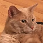 Bill Sanderson - @sanderson_bill - Instagram